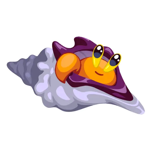 Shellspire Spray