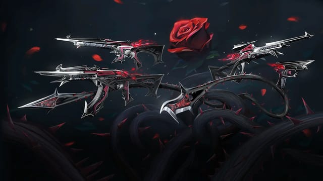 Blackthorn bundle