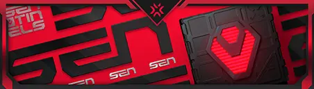 VCT x SEN Card wide art