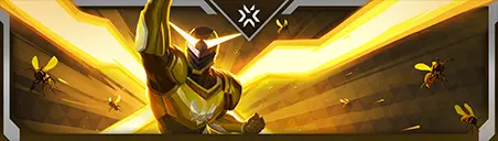 VCT x VIT Card wide art